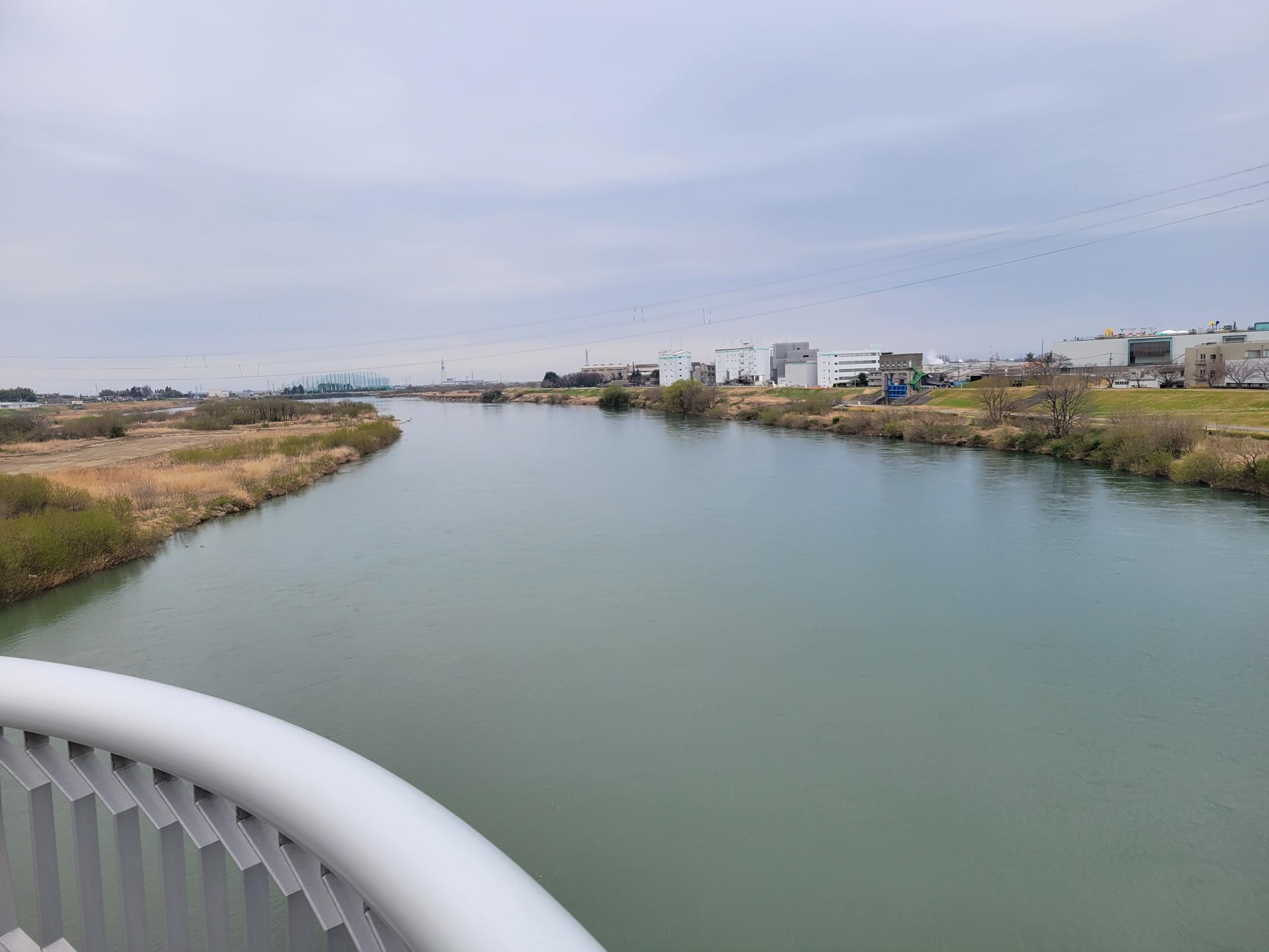 現地MPs調査@小矢部川、庄川、神通川|流域河川工学研究室
